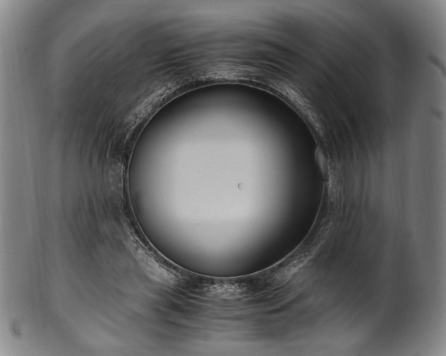 X0000100350445200806061118