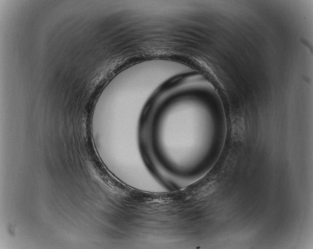 X0000100350447200806061118
