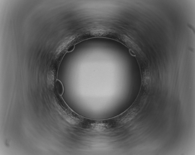 X0000100350448200806061118