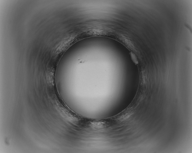 X0000100350450200806061118