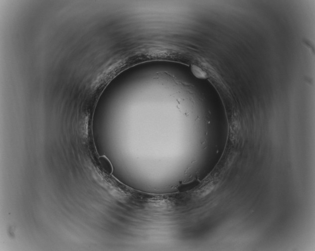 X0000100350454200806061118