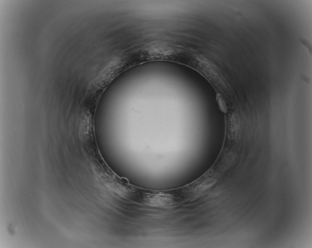 X0000100350463200806061118
