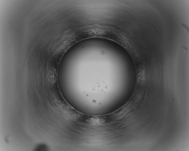 X0000100350464200806061118