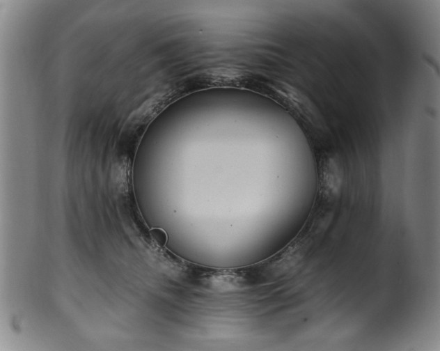 X0000100350468200806061118