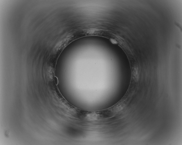 X0000100350470200806061118