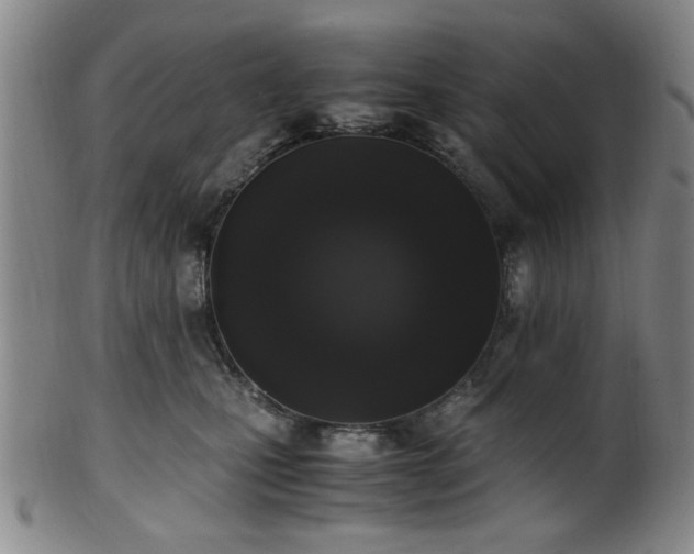 X0000100350471200806061118