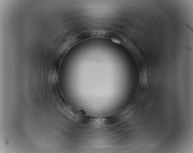 X0000100350474200806061118