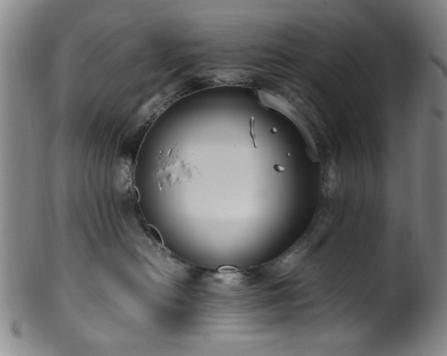 X0000100350478200806061118