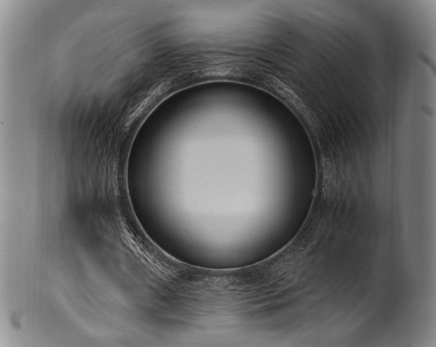 X0000100350482200806061118