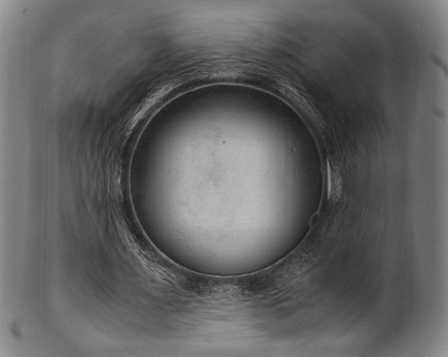 X0000100350483200806061118