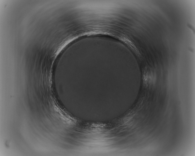 X0000100350484200806061118