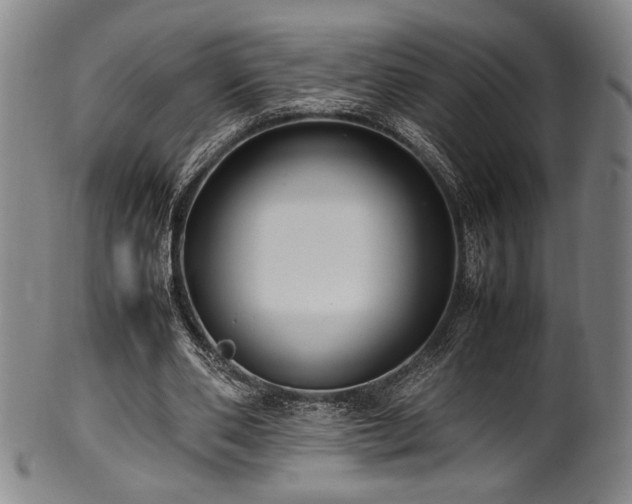 X0000100350486200806061118