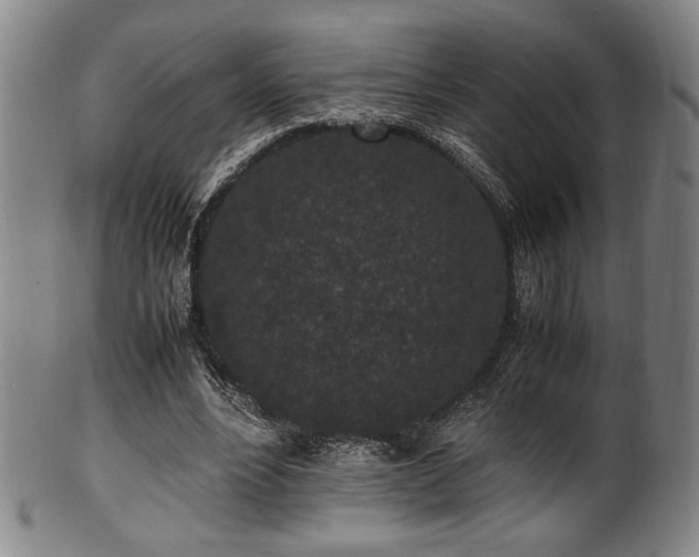 X0000100350488200806061118