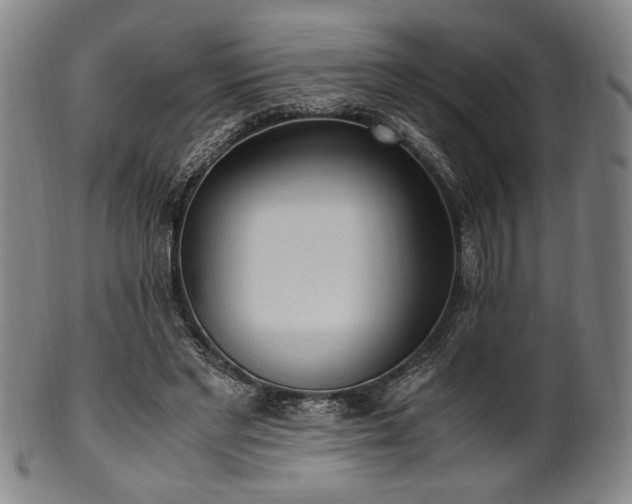X0000100350493200806061117