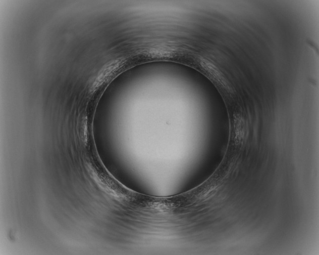 X0000100350494200806061117