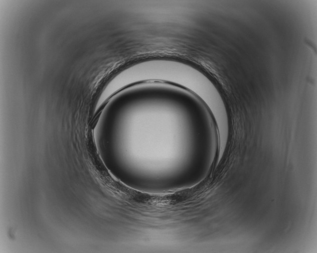 X0000100350495200806061117