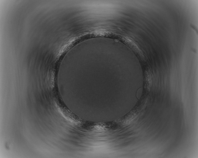 X0000100350496200806061117