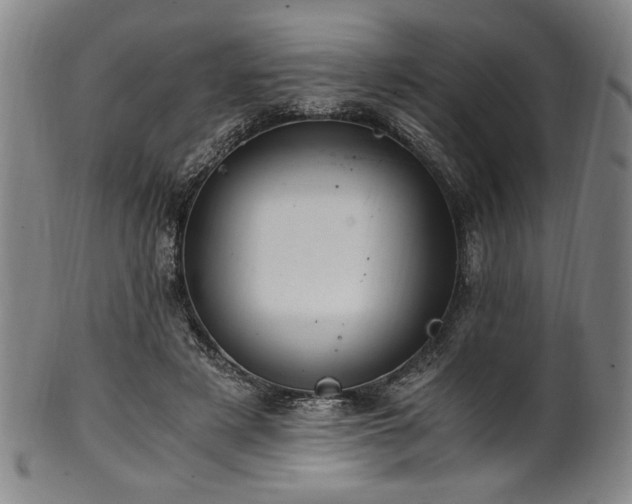 X0000100350497200806061117