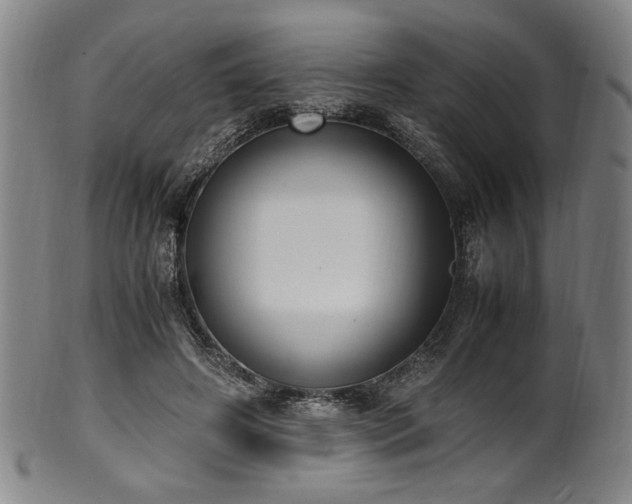 X0000100350498200806061117