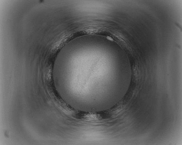 X0000100350499200806061117