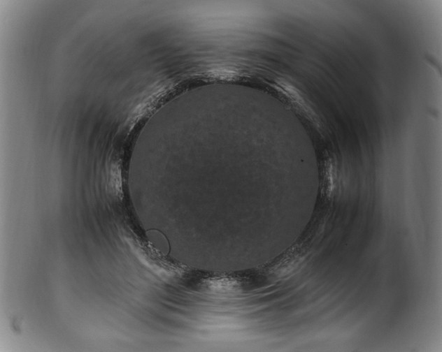 X0000100350500200806061117