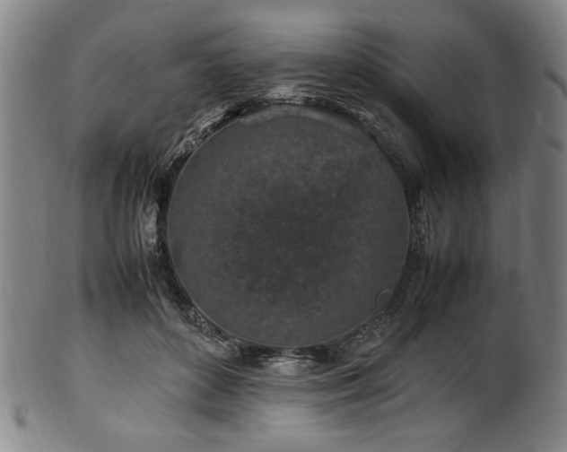 X0000100350504200806061117