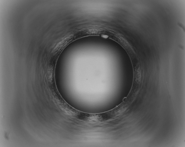 X0000100350505200806061117