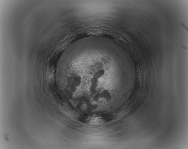 X0000100350507200806061117