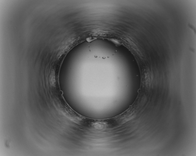 X0000100350508200806061117