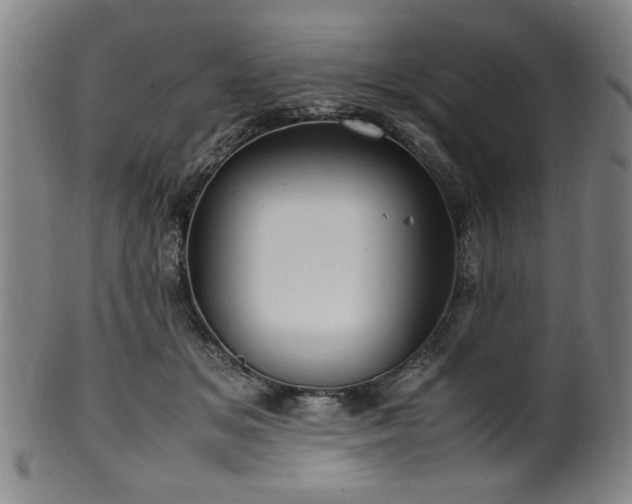 X0000100350509200806061117