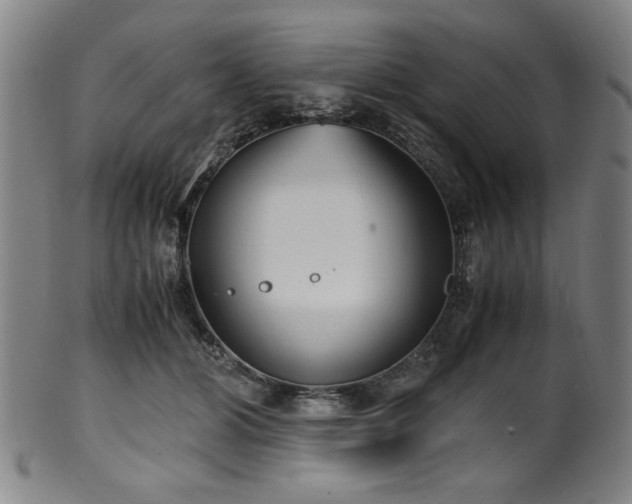 X0000100350510200806061117