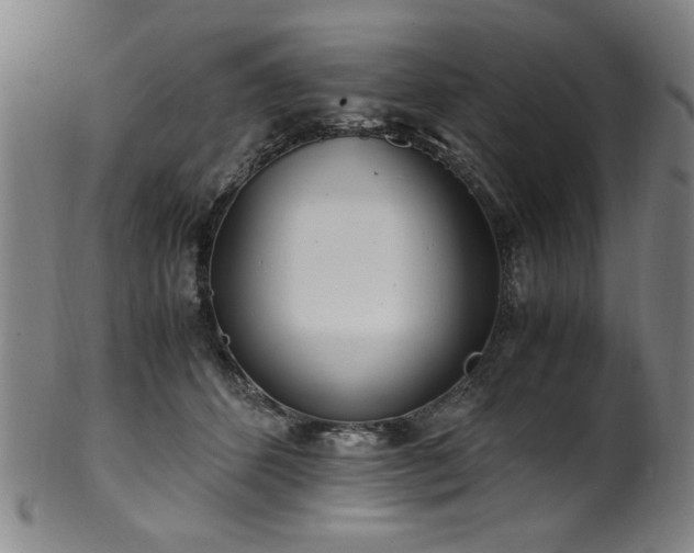 X0000100350512200806061117