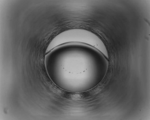 X0000100350513200806061117