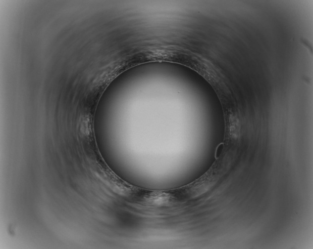X0000100350514200806061117