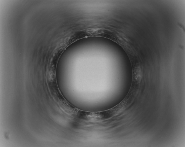 X0000100350515200806061117