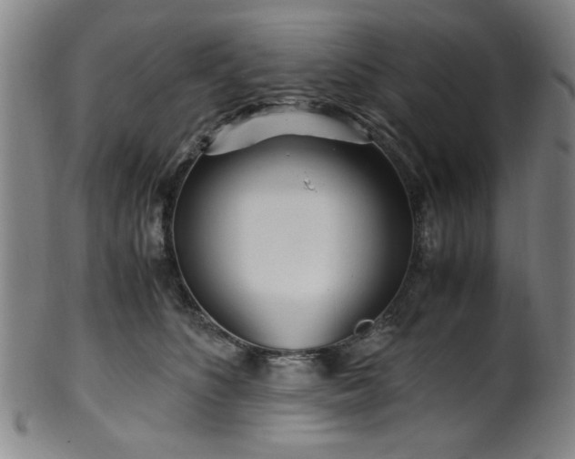 X0000100350516200806061117