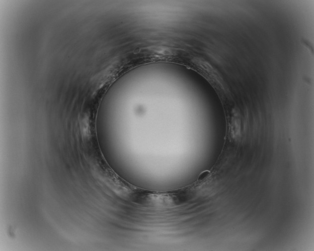 X0000100350520200806061117
