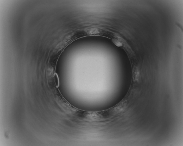 X0000100350521200806061117