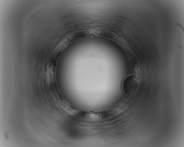 X0000100350522200806061117