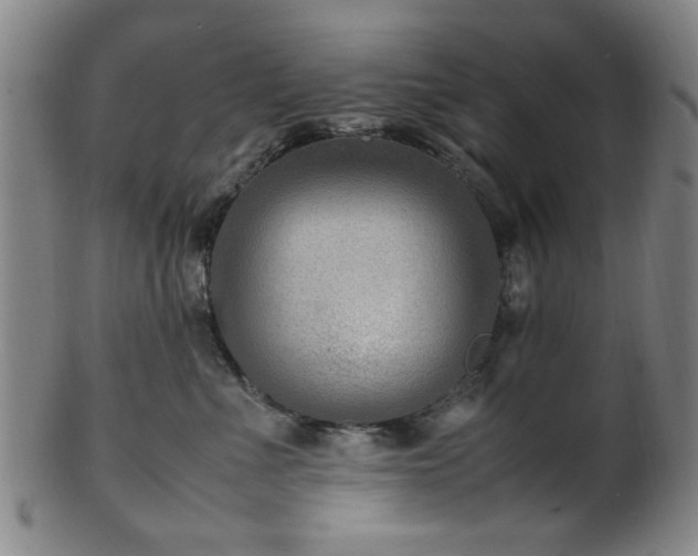 X0000100350523200806061117