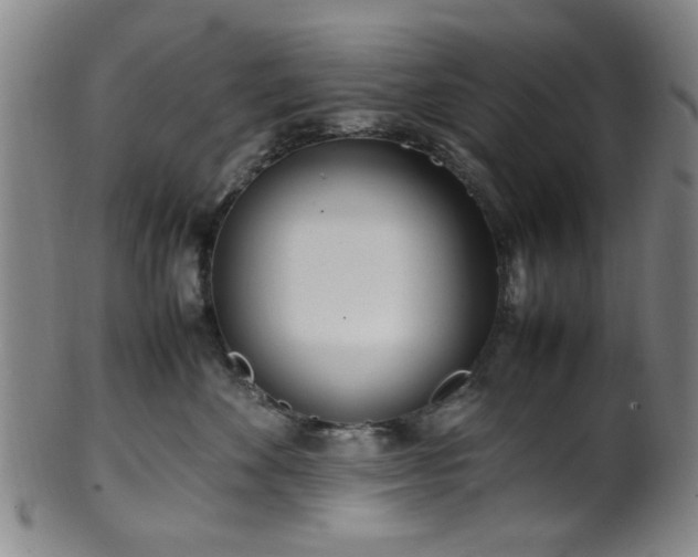 X0000100350524200806061117