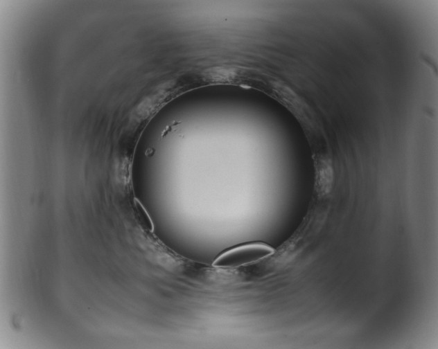 X0000100350525200806061117