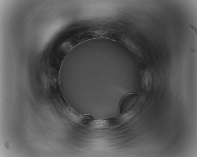 X0000100350526200806061117