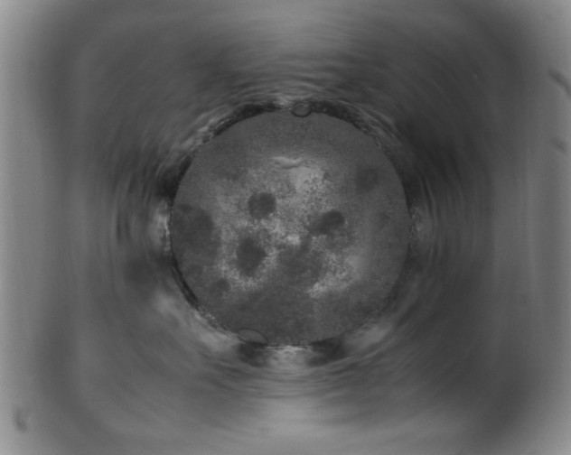 X0000100350527200806061117