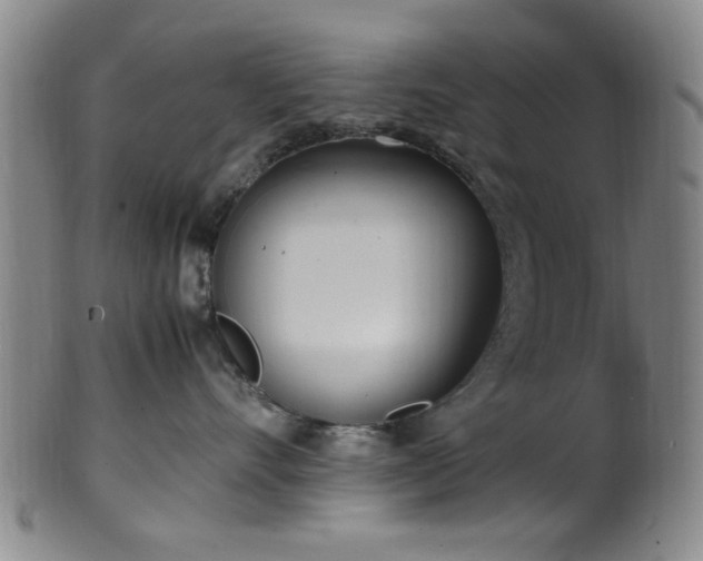 X0000100350528200806061117