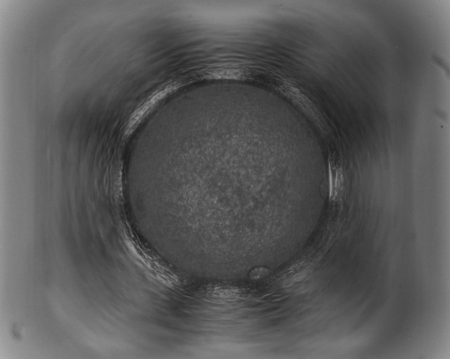 X0000100350531200806061116