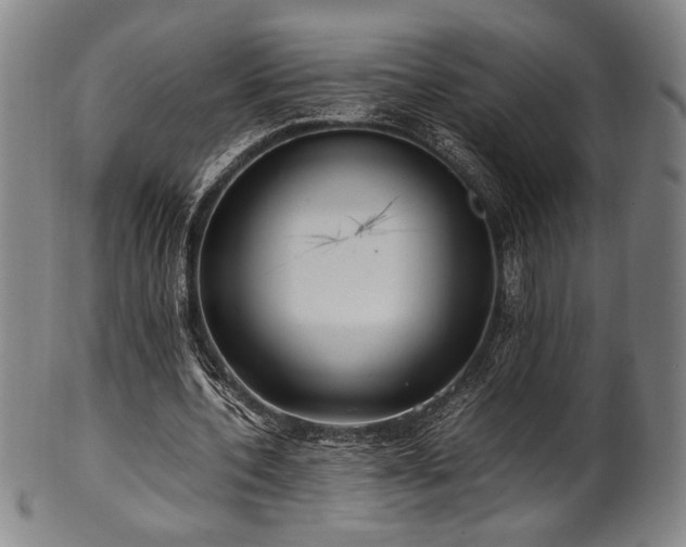 X0000100350532200806061116