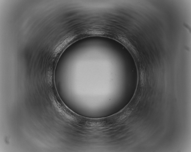 X0000100350533200806061116