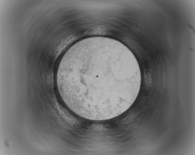 X0000100350534200806061116