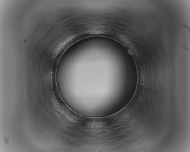 X0000100350535200806061116